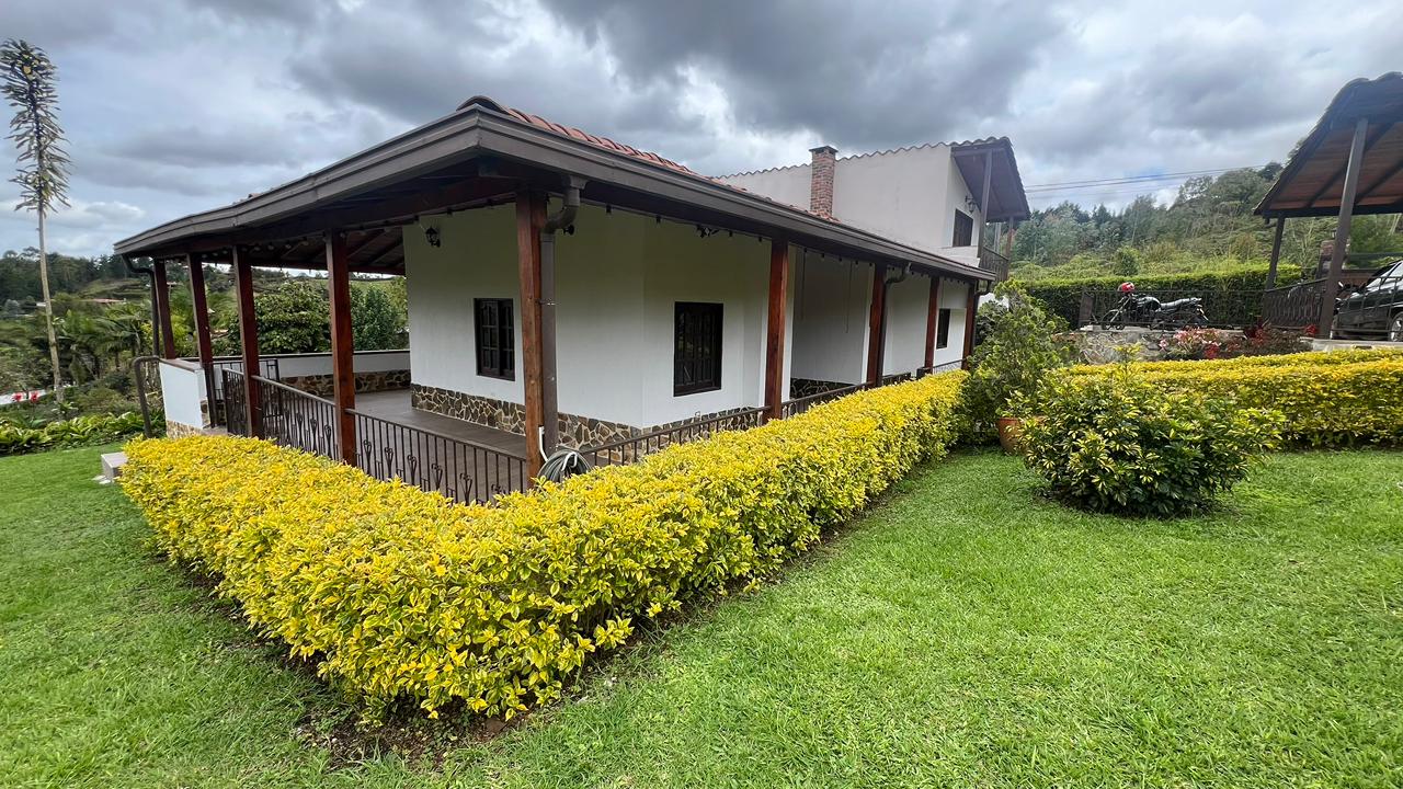 Hotel canino en Rionegro: diferencias entre hospedaje, guardería y entrenamiento intensivo